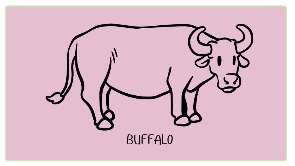 पालतू भैंस (Buffalo) की सामान्य जानकारी:-