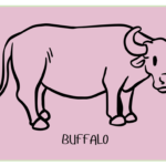 पालतू भैंस (Buffalo) की सामान्य जानकारी:-