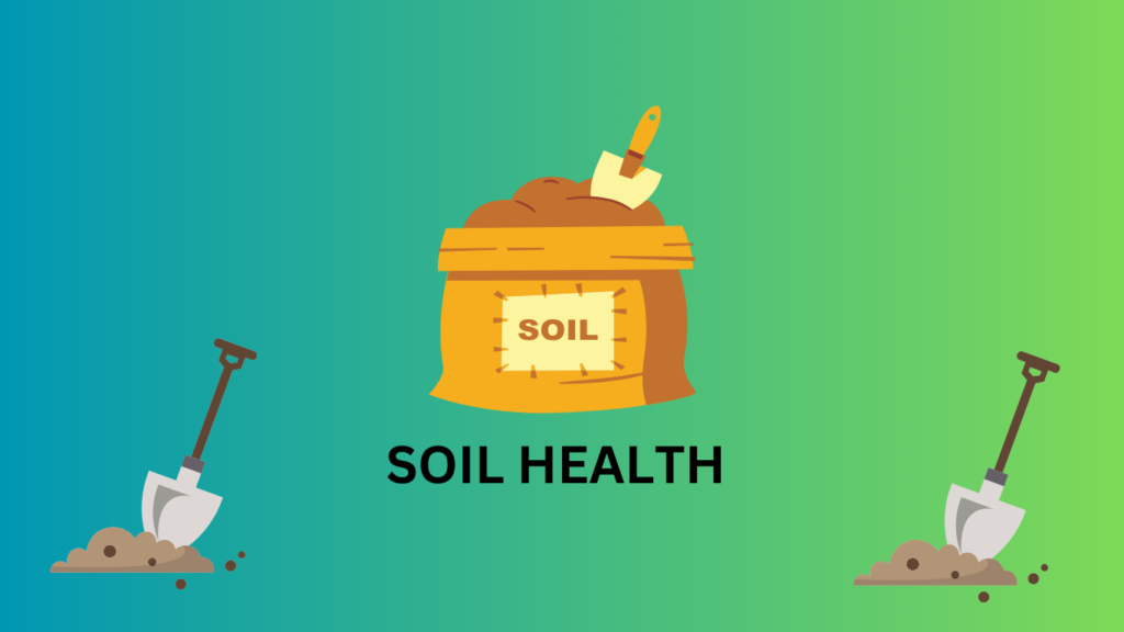 What is the significance of soil health in agriculture?