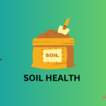 What is the significance of soil health in agriculture?