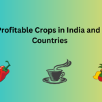 Most Profitable Crops in India and Other Countries