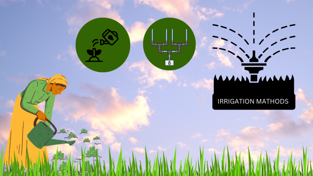 सिंचाई की विधियाँ(irrigation methods)