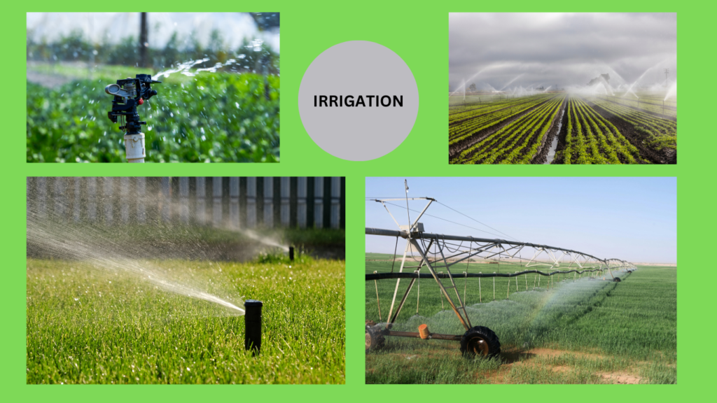 IRRIGATION