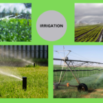 IRRIGATION