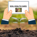 SOIL HEALTH CARD