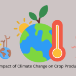 The Impact of Climate Change on Crop Production